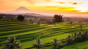 Explore Bali’s Hidden Gems with Bali Comfortable Tour & Transport (BACOTT)